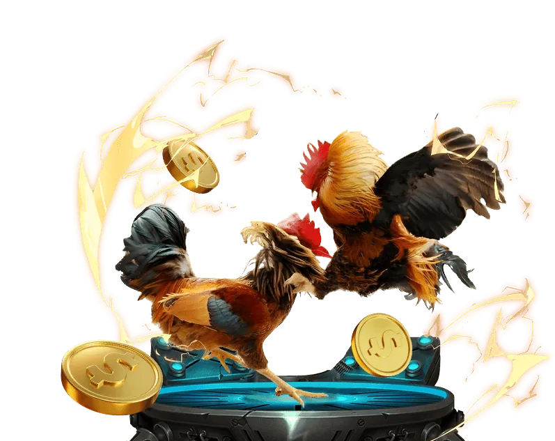 Hình ảnh minh họa hướng dẫn dành cho người mới bắt đầu tại 18win1